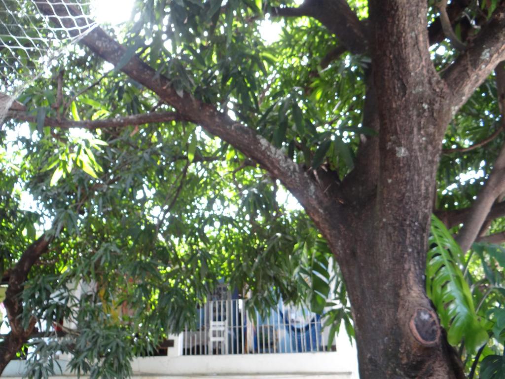  Casa de Temporada das Mangueiras