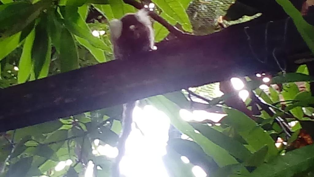  Casa de Temporada das Mangueiras