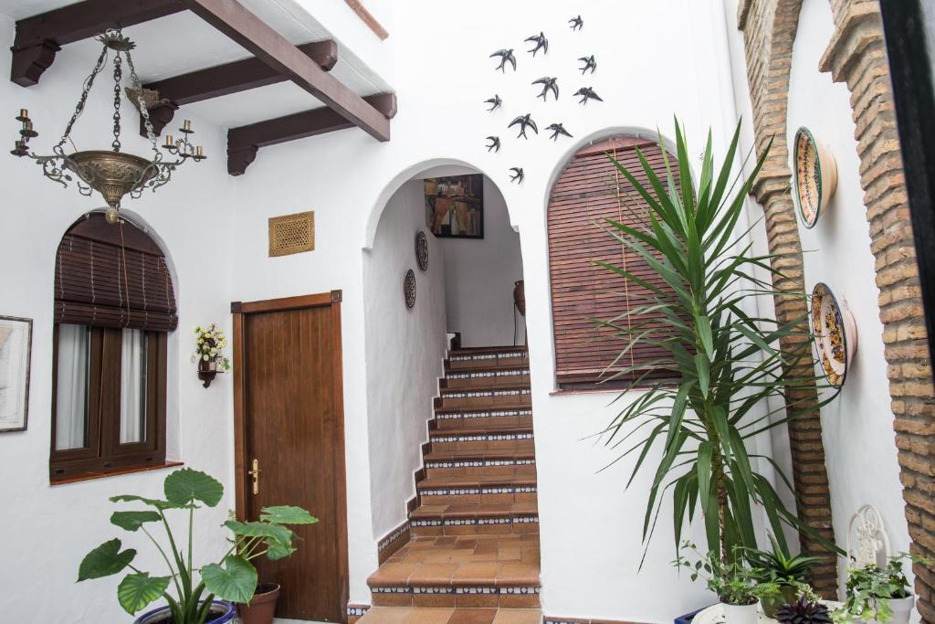 un pasillo de una casa con escaleras y una planta en Hostal Santa Catalina, en Conil de la Frontera