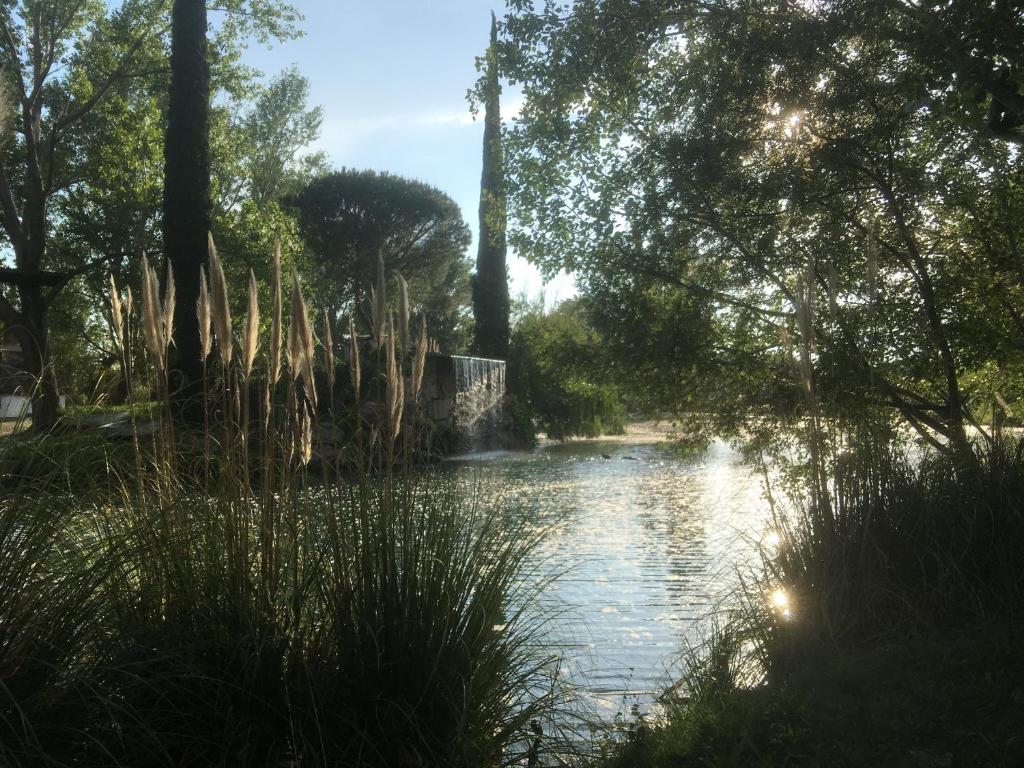 アルルにあるStudio cabine aux hameaux de camargueの木と水の川