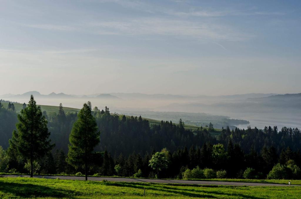 Príroda v okolí chaty v prírode