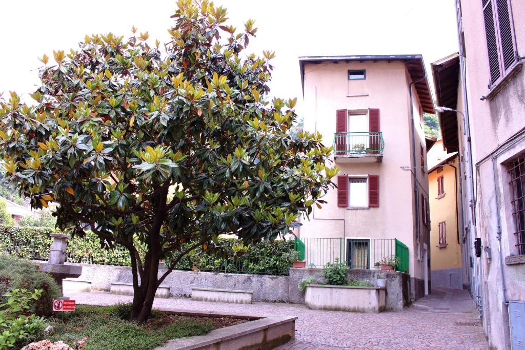 a tree in a courtyard next to a building at LA MAGNOLIA Guests House in Dervio