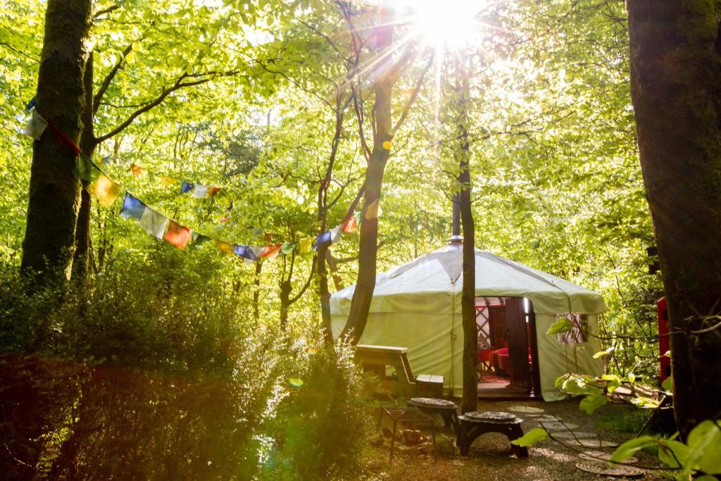 a tent in a forest with the sun shining through the trees at Larkhill Tipis and Yurts in Carmarthen