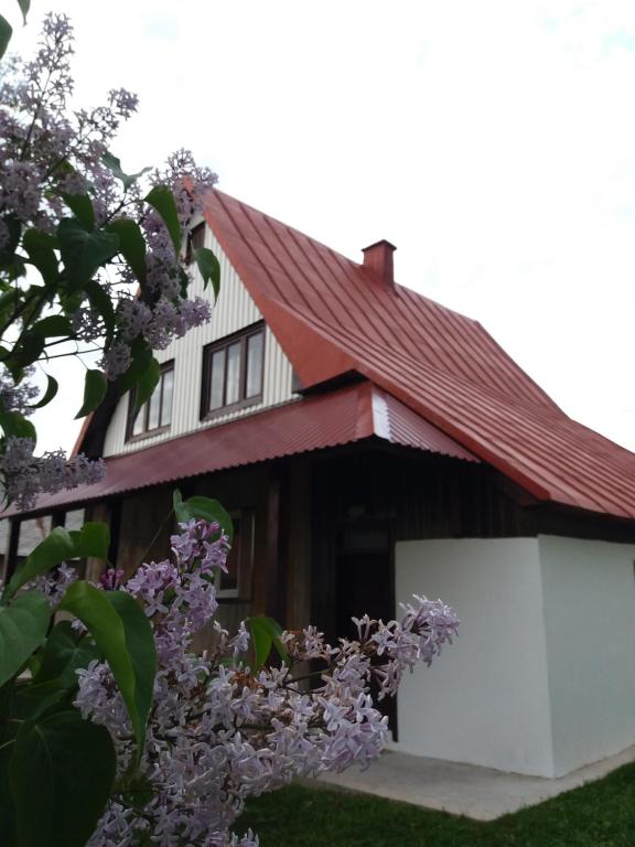 una casa con lilas púrpuras delante de ella en Rent a house - "Laki" en Žabljak