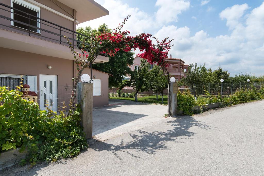 Zahrada ubytování Sirens House