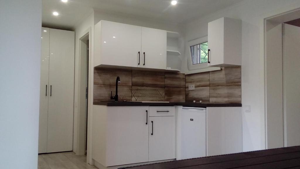 Kuchyňa alebo kuchynka v ubytovaní Picurka Apartman