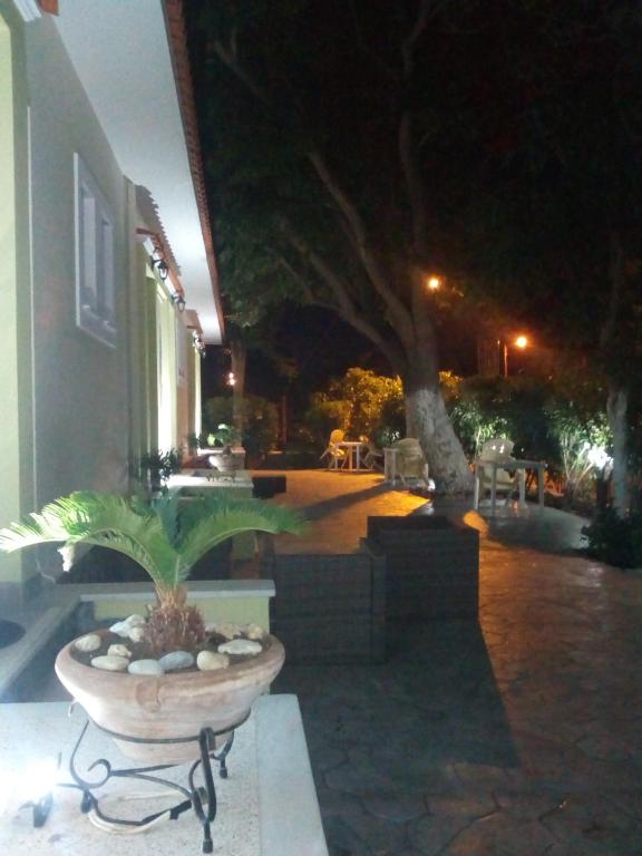 a plant in a pot on a patio at night at Melina Apartment in Loutrópolis Thermís