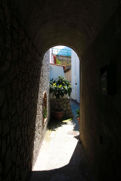 Fotografie z fotogalerie ubytování Casa Pamela v Capri