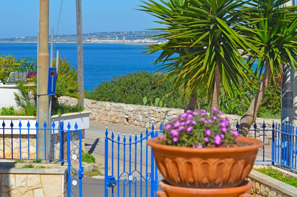 a pot of flowers in front of a blue fence at Casa Tramonto - RosariaVacanze in Leuca