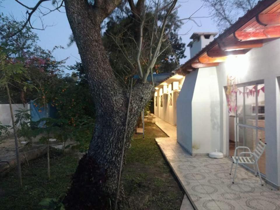 a tree next to a white building with a bench at Santo Domingo in Esquina