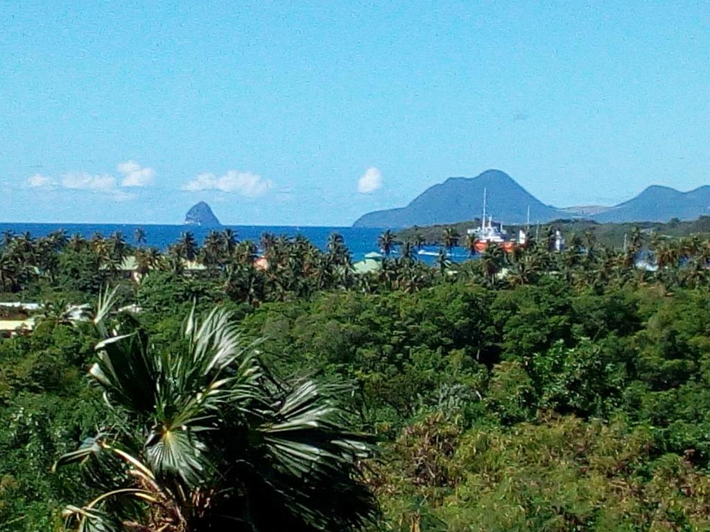 Elle offre une vue sur l'océan et les montagnes en arrière-plan. dans l'établissement Résidence Frangipaniers, à Sainte-Anne