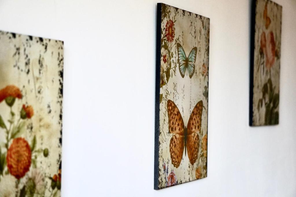 three pictures of butterflies hanging on a wall at La Bergerie De Valerie in Arthès