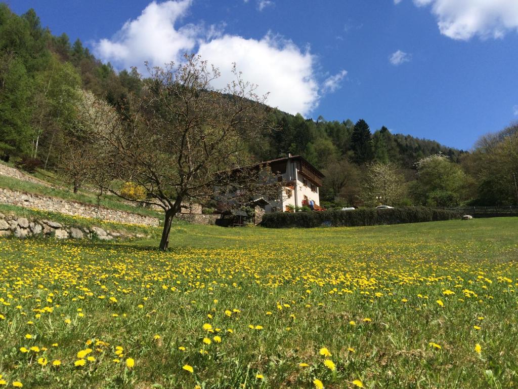 Príroda v okolí of the bed and breakfast