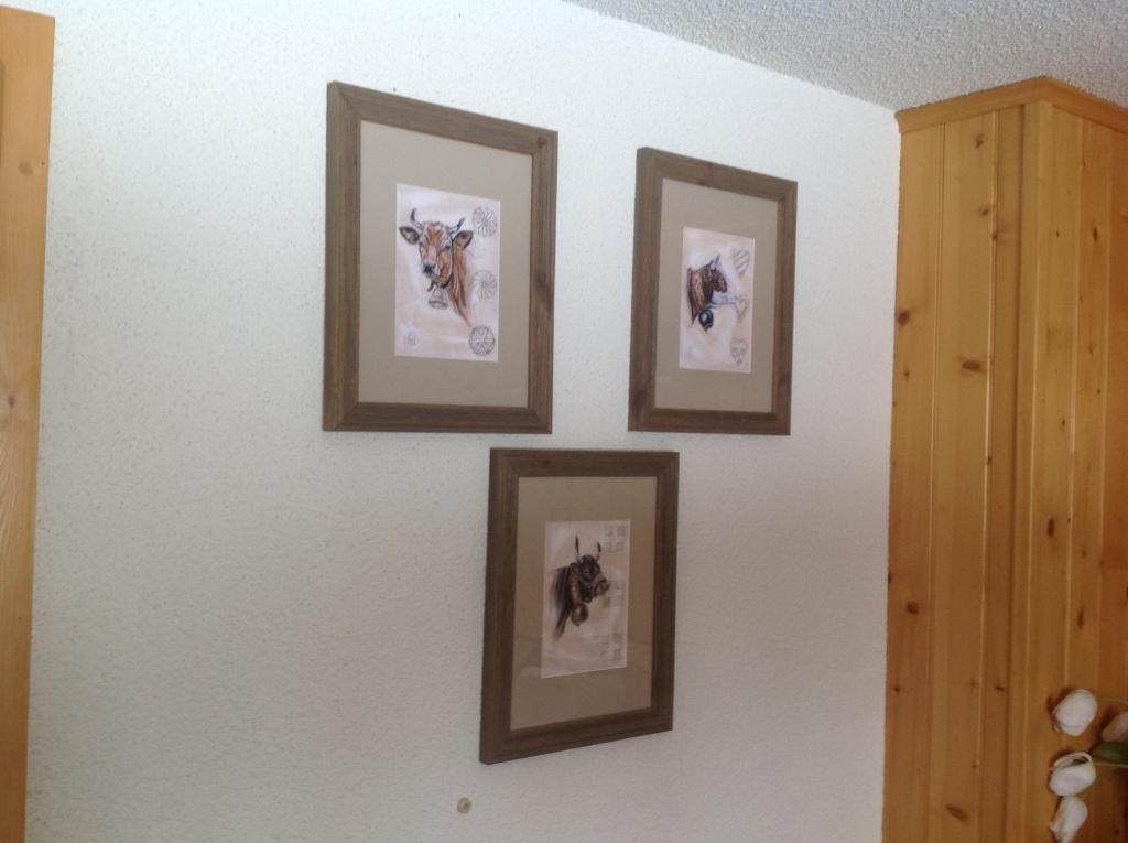 four framed pictures of dogs on a wall at Petit Ours in Villars-sur-Ollon