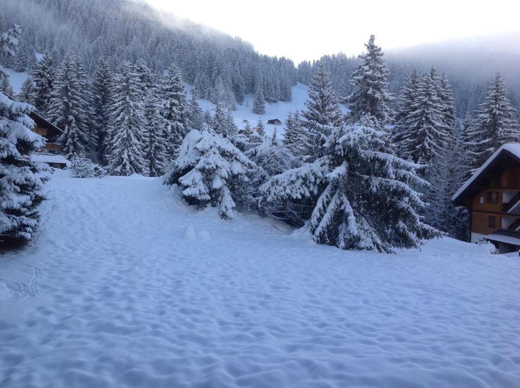 a snow covered forest with trees and a cabin at Petit Ours in Villars-sur-Ollon