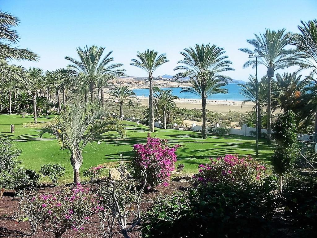 a park with palm trees and pink flowers at Apartments near the beach, with terrace and WIFI in Costa Calma