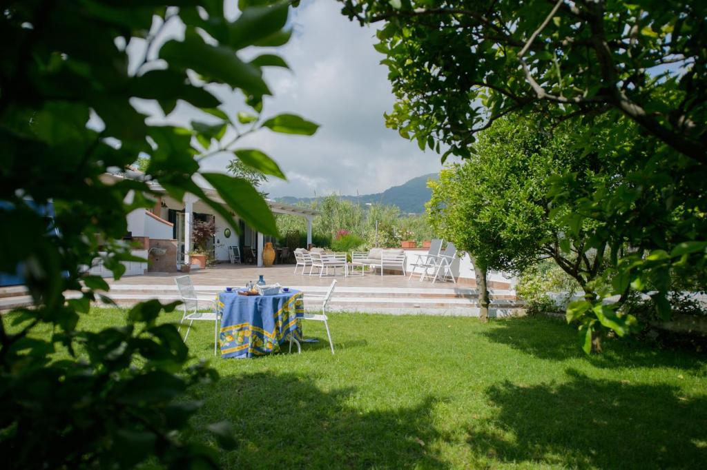 uma mesa e cadeiras num quintal em Il Poggetto em Ischia