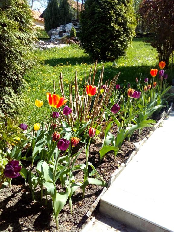 a garden of colorful flowers in a yard at Rajski vrt in Vrdnik