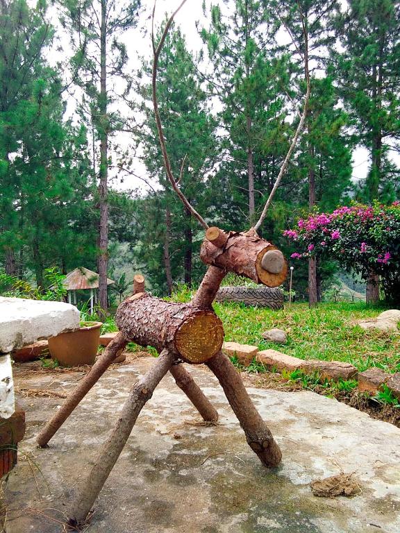 Zahrada ubytování Jabez Resort Kundasang