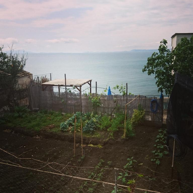 Zahrada ubytování B&B Relax