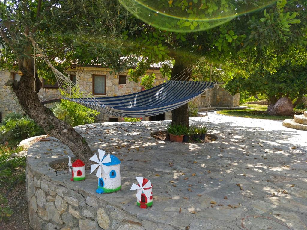 A garden outside Zephyros Hotel