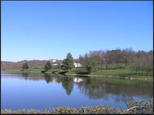 un gran lago con árboles en el medio en La casa dei Nonni, en Moncrivello