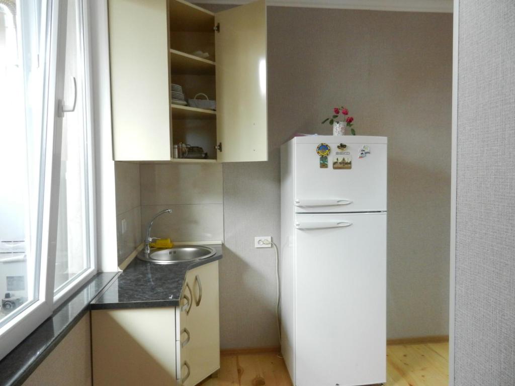 Kuchyň nebo kuchyňský kout v ubytování guest house katia tbilisi