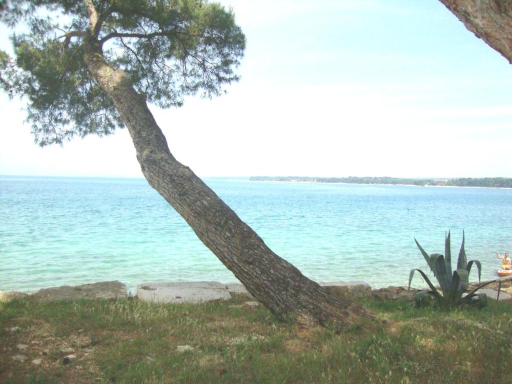 Paesaggio naturale nelle vicinanze dell'appartamento