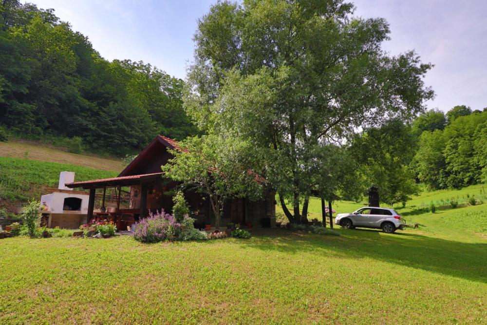 Villa Pepeljuga kuća za odmor في Vižovlje: منزل فيه سيارة متوقفة بجانب شجرة