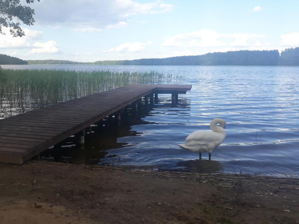 Príroda v okolí dovolenkového domu
