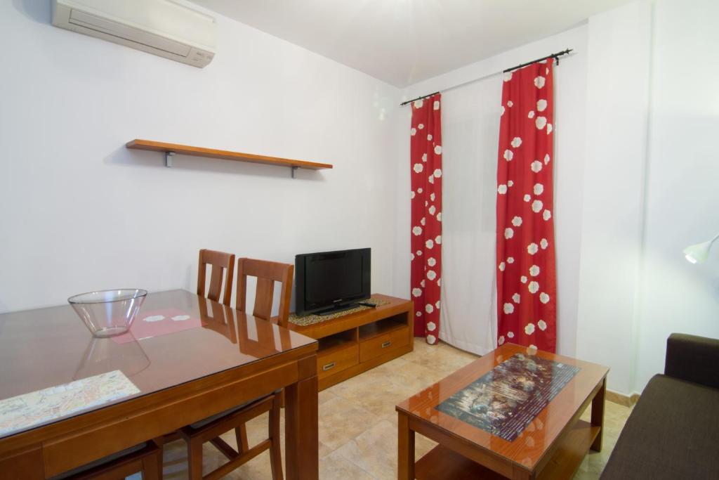 TV a/nebo společenská místnost v ubytování Apartamentos Manuel Martin