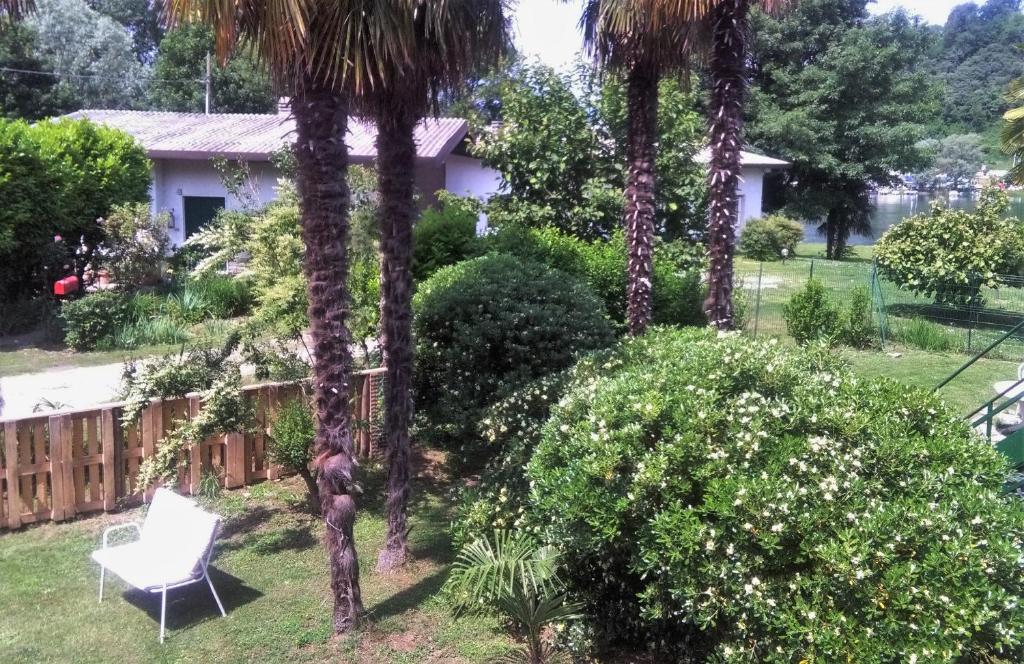 een tuin met een witte stoel en palmbomen bij Residenza Agapanthus in  Monvalle 