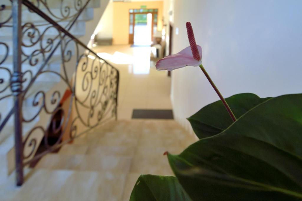 Fotografia z galérie ubytovania Villa Szelega v destinácii Pobierowo