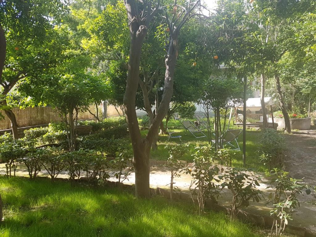 Vonkajšia záhrada v ubytovaní Il Giardino Di Vico Neve