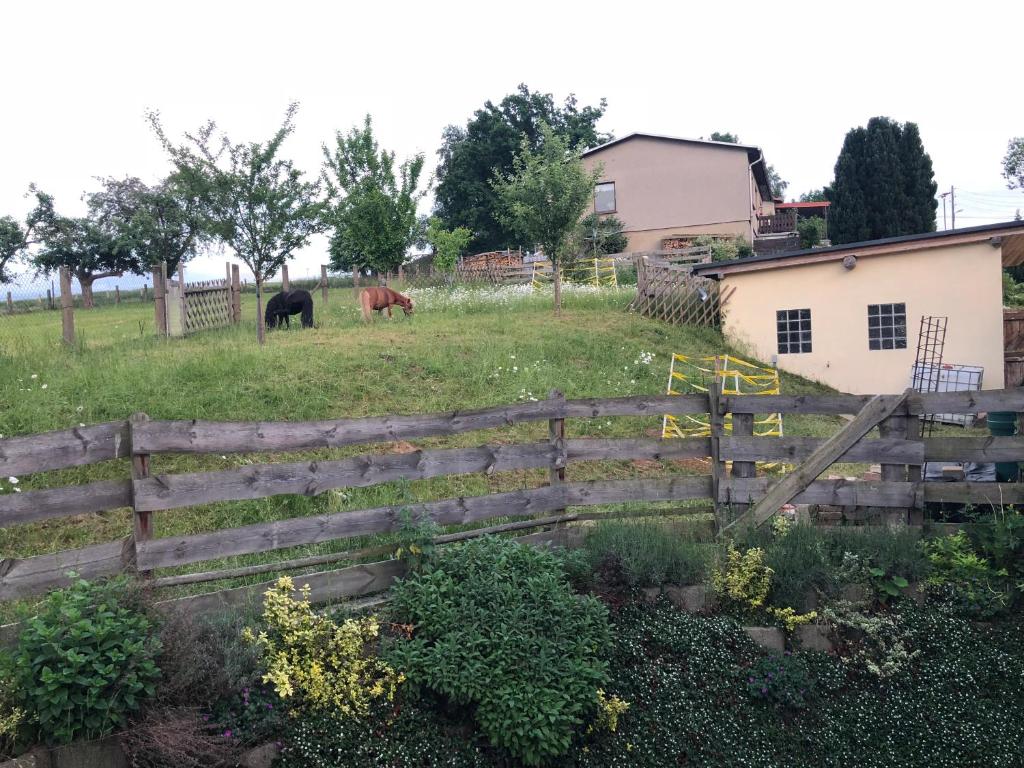 Zahrada ubytování Pension Alex