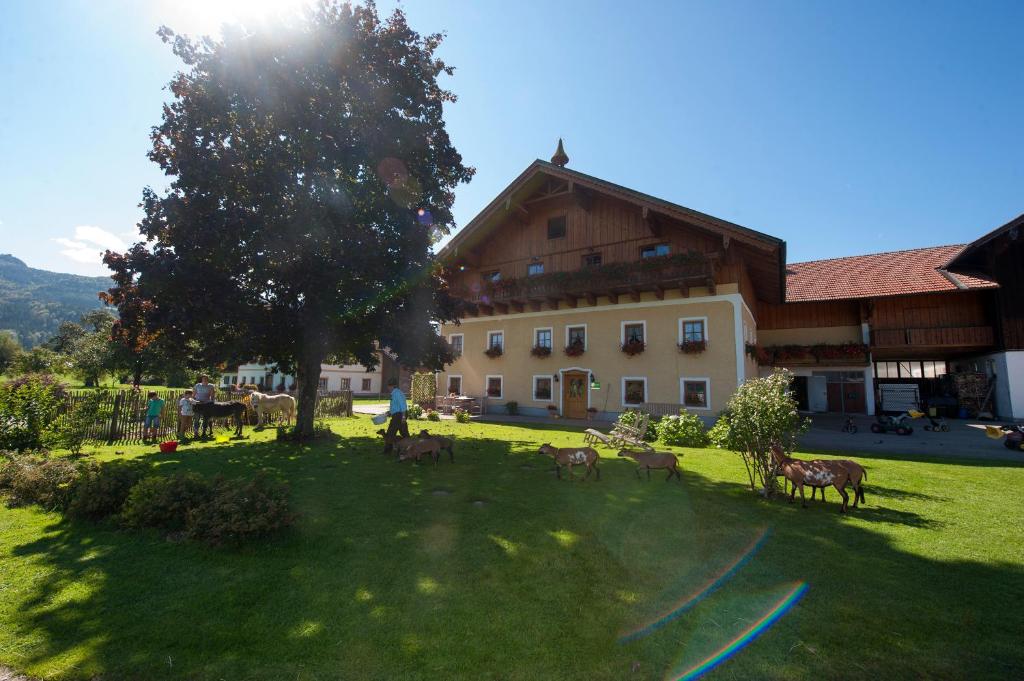 grupa zwierząt stojących w trawie przed budynkiem w obiekcie Kinderparadies Bachbauer w mieście Mondsee