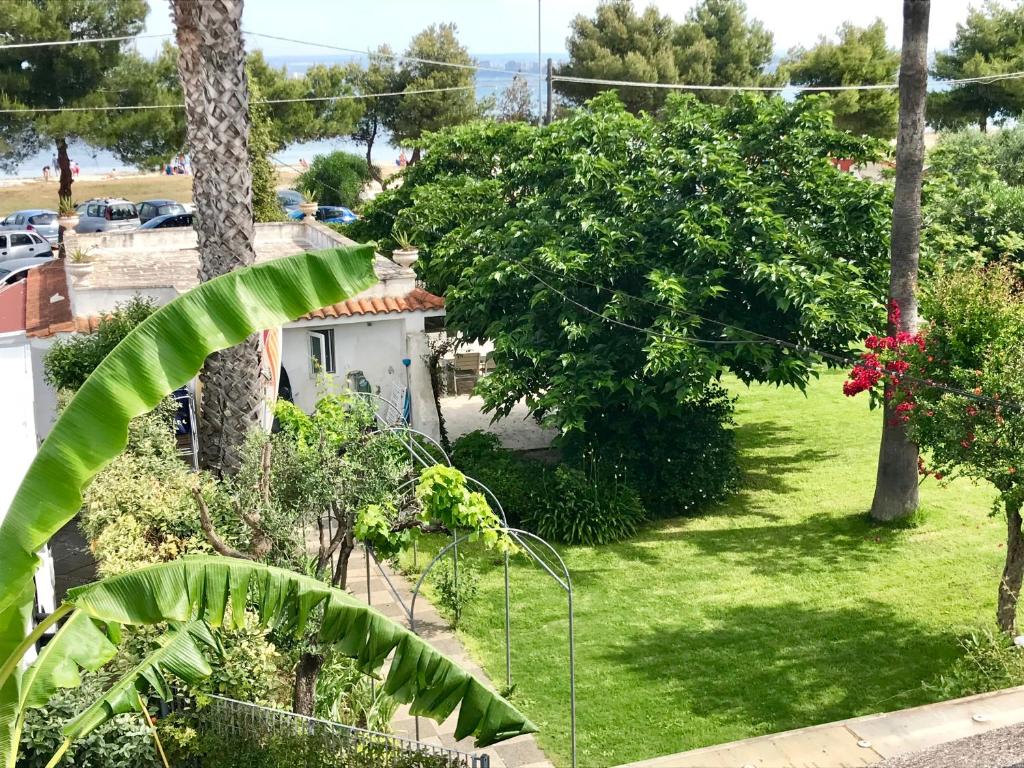 a view of a yard with trees and plants at Villa Valentina in Taranto