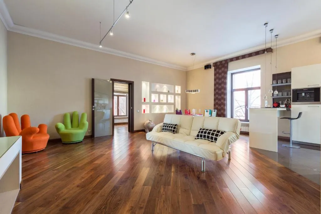 Apartment on Mokhovaya, Kudrovo, Russia