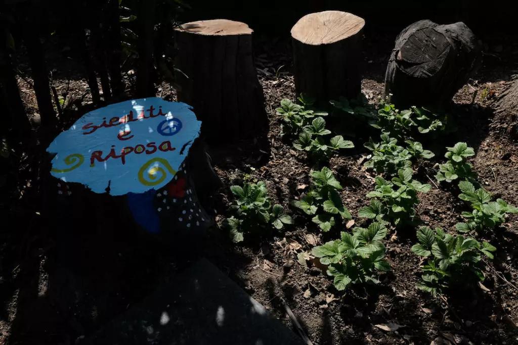 Zahrada ubytování Lemontree House Bacoli