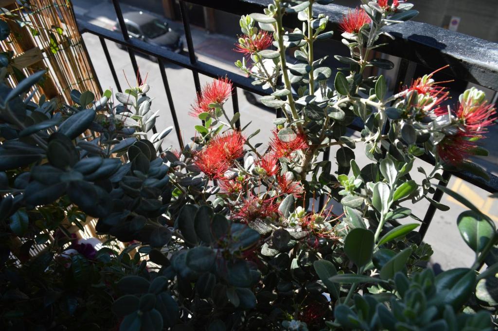 Via Dante Luxury Home - 12