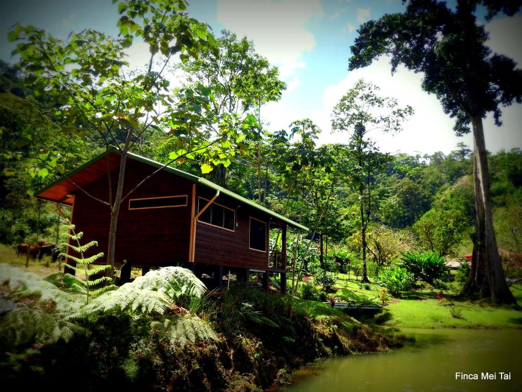 Zahrada ubytování Mei Tai Cacao Lodge