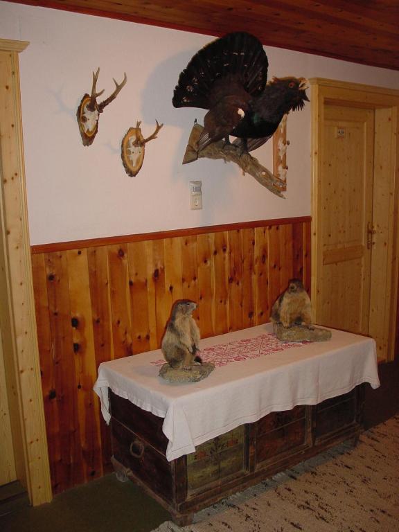 Fotografie z fotogalerie ubytování Pension - Bauernhof v destinaci Sankt Lorenzen ob Murau