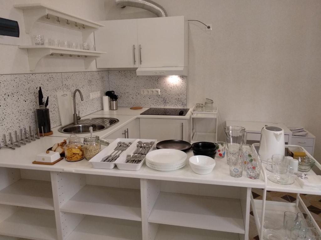 Kuchyň nebo kuchyňský kout v ubytování Apartments na Beregu