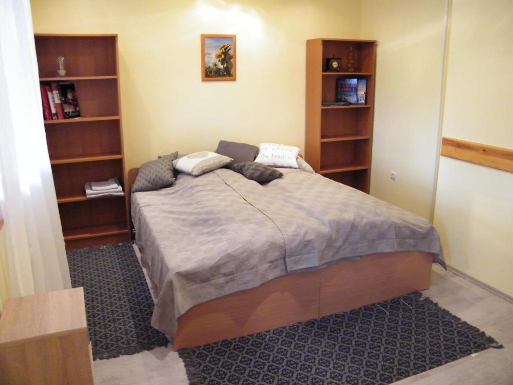 ein Schlafzimmer mit einem großen Bett und Bücherregalen in der Unterkunft Pál utcai Apartman Miskolc in Miskolc