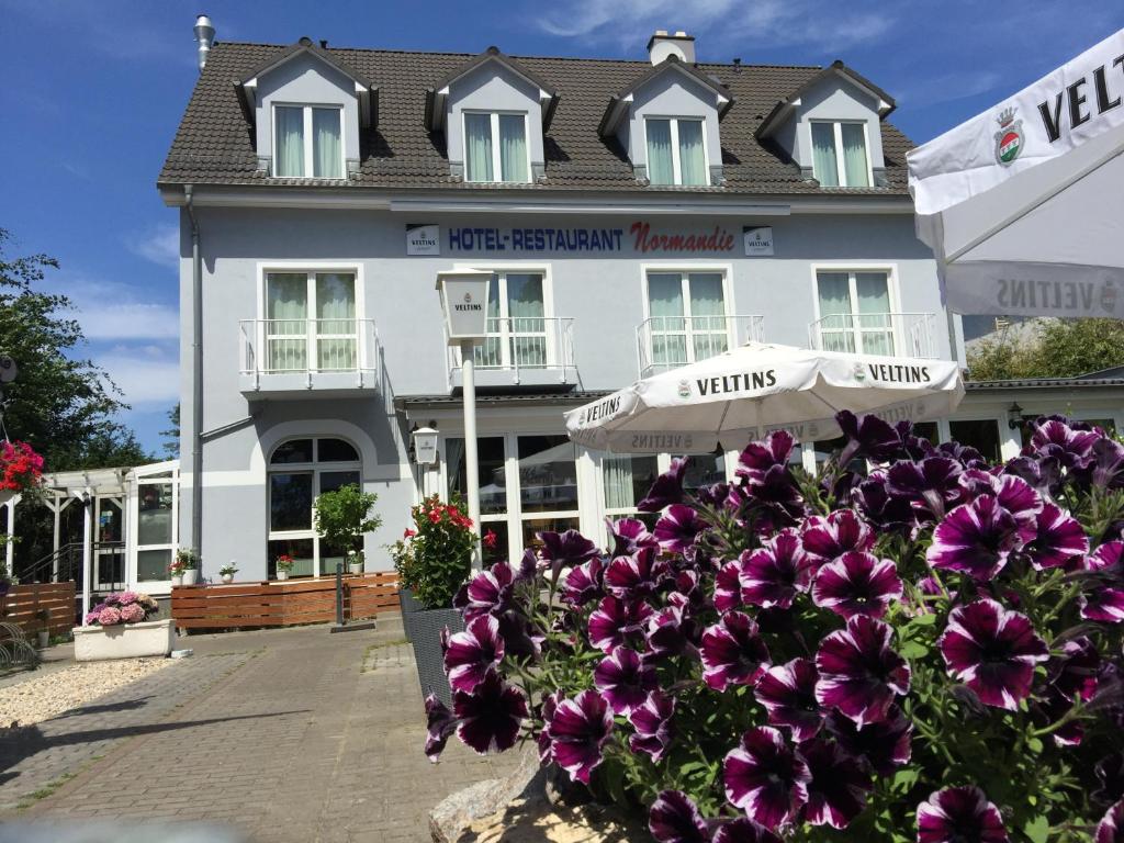 Un bâtiment blanc avec des fleurs violettes devant lui dans l'établissement Hotel Normandie, à Schildow