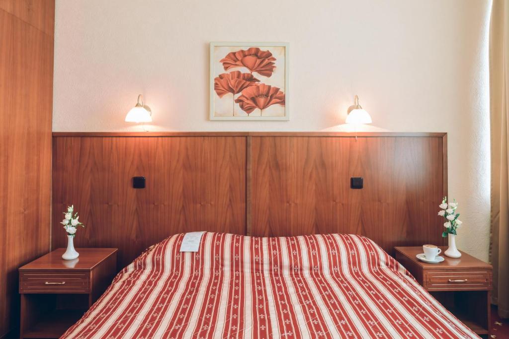 Premier Hotel Rus - Standard Double Room