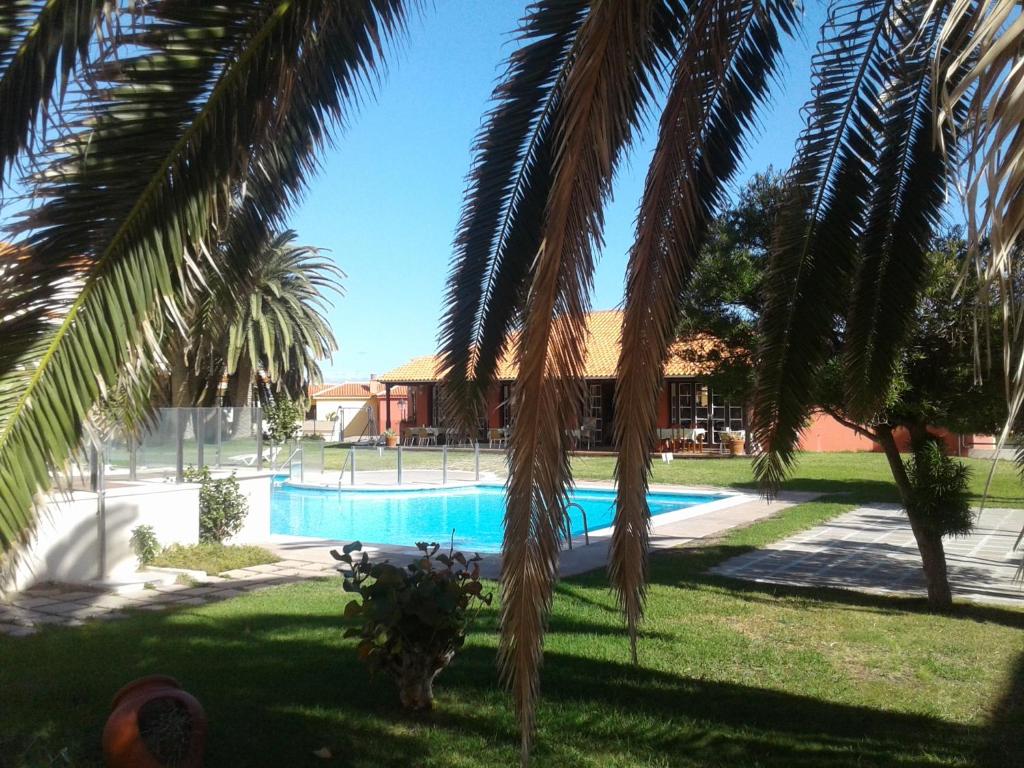 a view of a swimming pool with palm trees at il GABBIANO in Los Cancajos