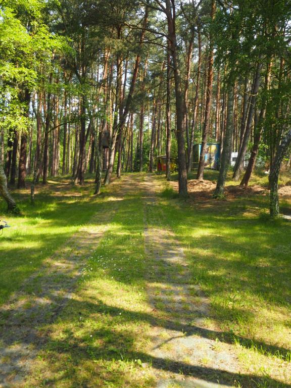 ミエンジボジェにあるCamping Anastazjaの木々や芝生が茂る公園内の小道