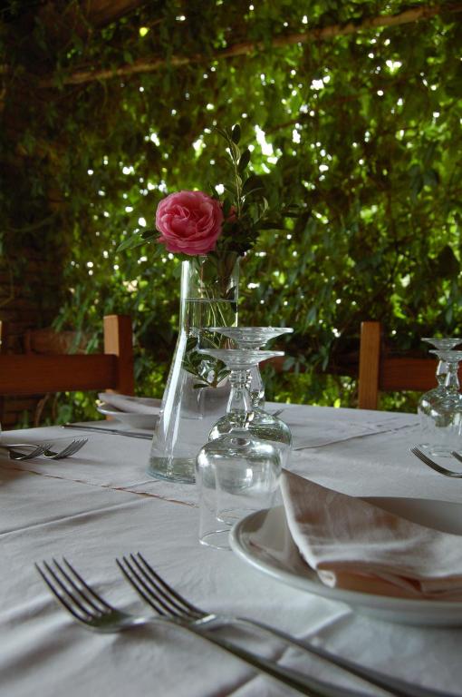 A garden outside Agriturismo Castro