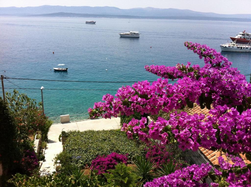 - une vue sur l'eau avec des fleurs violettes dans l'établissement Apartments Matea - 20m from sea, à Bol